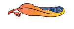 Blackwood Basin Group Inc